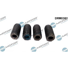 Surub ajustare pompa injectie VW TOURAN (1T1, 1T2), Dubita, 02.2003 - 05.2010 Dr.Motor Automotive DRM0307