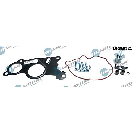 Set reparatie, pompa vacuum (Siste frana) VW TIGUAN (5N_), Crossover, 09.2007 - 07.2018 Dr.Motor Automotive DRM0325