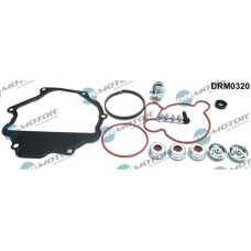 Set reparatie, pompa vacuum (Siste frana) MERCEDES-BENZ T1 (601, 611), Van, 05.1977 - 02.1996 Dr.Motor Automotive DRM0320