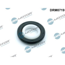 Simering, arbore cotit CITROEN C4 Grand Picasso I (UA_), Dubita, 10.2006 - 12.2013 Dr.Motor Automotive DRM0719