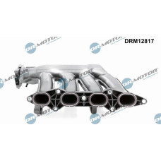 Modul conducta admisie Dr.Motor Automotive DRM12817