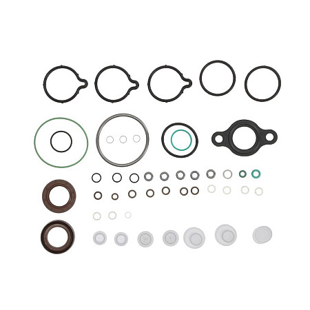 Set garnituri. pompa injectie CP 1 seals set F 01M 101 454 F 01M 101 455 F 01M 101 456 BOSCH IVECO DAILY III DAILY I MERCEDES-BENZ E-CLASS (VF210), Cadru de sprijin, 06.1996 - 03.2003 ENGITECH ENT210005