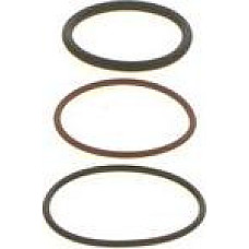 Chit reparatie. unitate pompa-diuza Set de inele - inel o PLD BOSCH F 00V X99 892