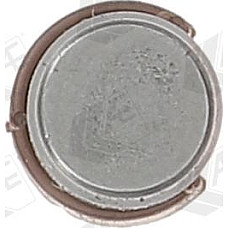 Culbutor supapa Valva robinet hidraulic DACIA DUSTER DUSTER-SUV LOGAN LOGAN EXPRESS LOGAN MCV SANDERO NISSAN KUBI RENAULT KANGOO BE BOP (KW0/1_), Dubita, 02.2009 - AE FOL103