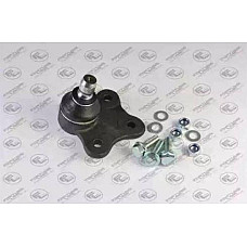 Articulatie sarcina-ghidare Pivot axa Dreapta-Stanga inferior fata diametru con 16mm se potriveste. ABARTH GRANDE PUNTO PUNTO AL FIAT 500 C Giardiniera, Turism, 03.1949 - 12.1955 Fortune Line FZ3203