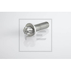 Surub, disc frana surubul de fixare a discului de frana M 16x15x57 PETERS 296.002-00