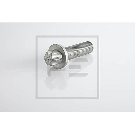 Surub, disc frana surubul de fixare a discului de frana M 16x15x57 PETERS 296.002-00