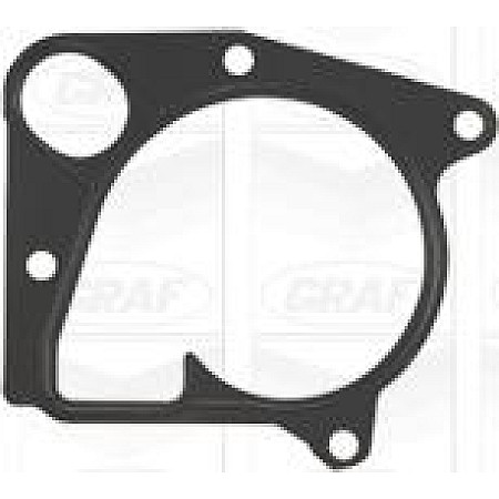 Pompa apa BMW 1 (5 door) I (E87), Hatchback, 02.2003 - 01.2013 Graf PA965