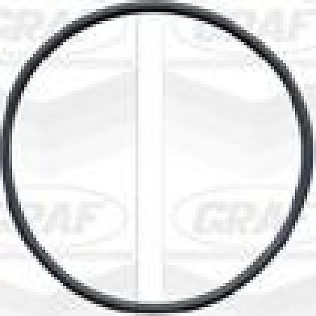 Pompa apa VW POLO (86C, 80), Compartiment, 10.1981 - 09.1994 Graf PA425