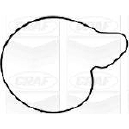 Pompa apa AUDI A5 (8TA), Sportback, 07.2007 - 01.2017 Graf PA1050