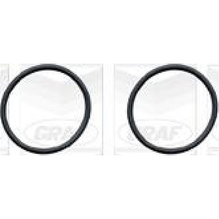 Pompa apa VW TRANSPORTER IV (70XD), Cadru de sprijin, 07.1990 - 04.2003 Graf PA579