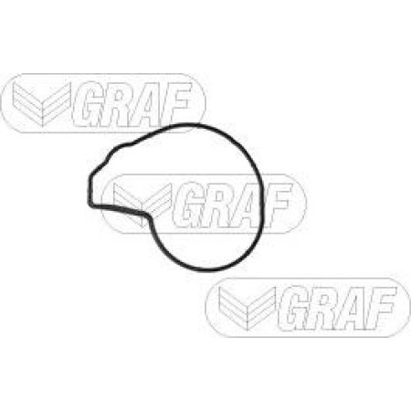 Pompa apa BMW 2 Gran Tourer (F46), Dubita, 07.2014 - Graf PA1349