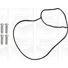 Pompa apa AUDI A3 III (8V1, 8VK), Hatchback, 04.2012 - Graf PA1246