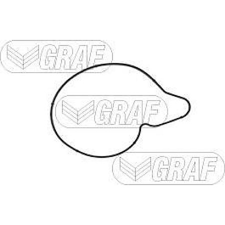 Pompa apa AUDI A5 (8F7), Sabrioleta, 02.2009 - 01.2017 Graf PA1228