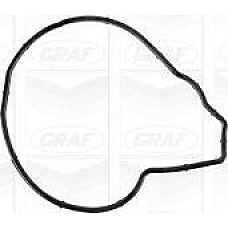 Pompa apa BMW 2 Active Tourer (F45), Dubita, 11.2013 - Graf PA1277