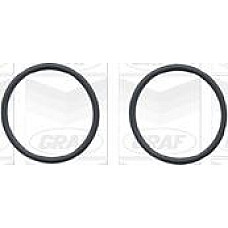 Pompa apa AUDI A6 (4A2, C4), Sedan, 06.1994 - 10.1997 Graf PA779