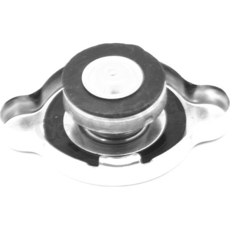 Buson,radiator HYUNDAI i10, Sedan, 12.2013 - Calorstat by Vernet RC0027