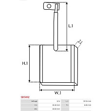 Perie, electromotor AS-PL SB5002