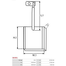 Perie, electromotor AS-PL SB3001