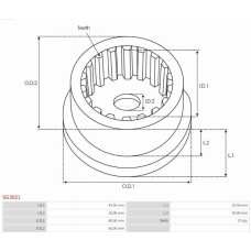 Chit reparatie, demaror AS-PL SG3021