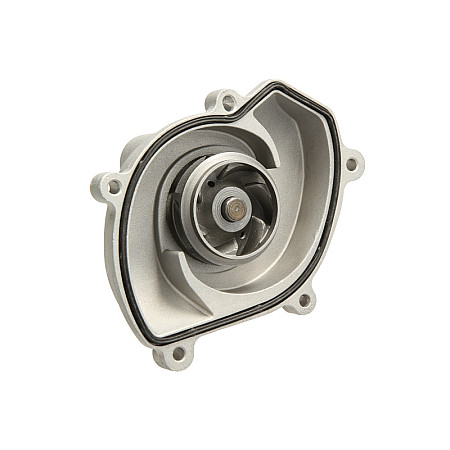 Pompa apa apa with gasket PORSCHE PANAMERA 3.6 05.10-10.16 HEPU P690