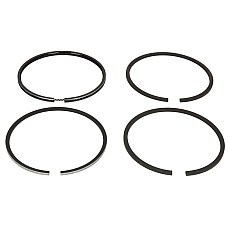 Set segmenti piston Inele de 100mm STD 3 25 25 5 FENDT 1 / 2 / 3 / 4 / 5 200 300 80 F ABG ALEXANDER BV MAW PUMA TITAN WZ AHLMANN A AF AS ATLAS 1000 AB / AB 02 4.236-F6L913 NE 120015000600