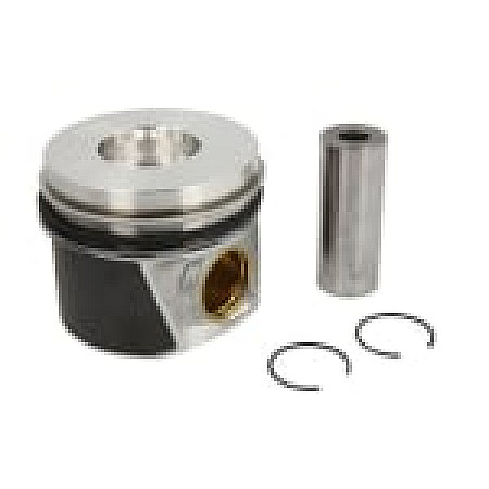 Piston 8101 STD  AUDI A3 A4 B7 A6 C6 MITSUBISHI LANCER VIII SEAT ALTEA ALTEA XL LEON TOLEDO III SKODA OCTAVIA II SUPERB II VW CADDY III CADDY III/MINIVAN EOS 2.0D 02.03- NE 130050002700