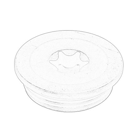 Capac conector, bolt principal Camshaft plug OPEL ASTRA H ASTRA J INSIGNIA A MOKKA / MOKKA X ZAFIRA B 1.6 12.06- OE OPEL 55571241