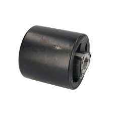 Suport,trapez Bloc silentios fata balansoar fata Fata Dreapta/Stanga 14x76 mm BMW 5 E39 7 E38 X5 E53 3.0-4.8 02.96-10.06 REINHOCH RH14-3003