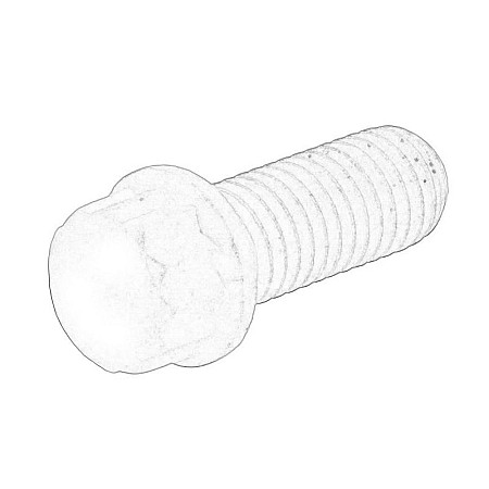 Surub, sistem de esapament Elemente de colectare de aspiratie BMW 1 E87 3 E90 5 E39 5 E60 2.0D/2.5D/3.0D 01.96-10.11 OE BMW 11 65 2 243 402