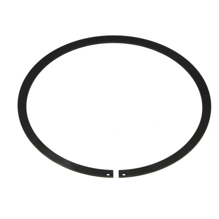 Element blocare sincron Element de blocare sincromesh protectia discului de cuplare SCANIA EURORICAMBI 74530479