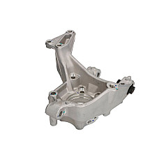Articulatie directie, suspensie roata Knuckle rear L 4Motion 4x4 Quatro 4Drive AUDI Q3 TT SEAT ALHAMBRA SKODA YETI VW CC B7 PASSAT ALLTRACK B7 PASSAT B6 PASSAT B7 SHARAN TIGUAN 03.05- REINHOCH RH08-0007