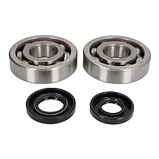 Set reparare de arbore cotit Crankshaft bearings set with garnituri KAWASAKI KX 250 2002-2007 HOT RODS K227