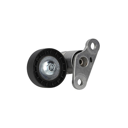 Intinzator,curea transmisie Multi-V belt tensioner CADILLAC ESCALADE CHEVROLET AVALANCHE AVALANCHE 1500 SILVERADO 1500 TAHOE TAHOE LTZ GMC SIERRA YUKON HUMMER HUMMER H2 HUMMER H2 SUT 4.8-6.2ALK 10.98- USA BT258AT