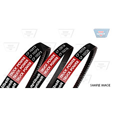 Curea transmisie cu caneluri Multi-V-curea PK1760 potriveste: THERMO KING SLX100/SLX400 OPTIBELT CP10519