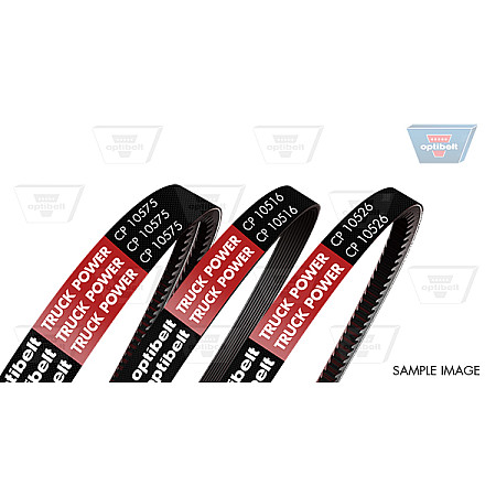 Curea transmisie Multi-V-curea PK880 potriveste: THERMO KING MDII/MD2/TCI/TLE/LND OPTIBELT CP10533