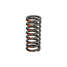Arc supapa Valve spring CATERPILLAR C15 IPD PARTS 2479908-IPD