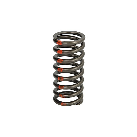 Arc supapa Valve spring CATERPILLAR C15 IPD PARTS 2479908-IPD