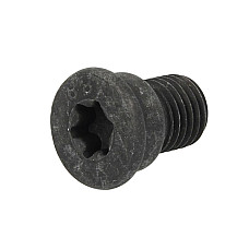 Surub, disc frana surubul de fixare a discului de frana M12x15 10 buc.ambalaj MERCEDES G W463 AUDI A8 D4 Q7 BENTLEY MULSANNE PORSCHE CAYENNE VW TOUAREG 2.3-6.8 09.89- DELPHI BGK007