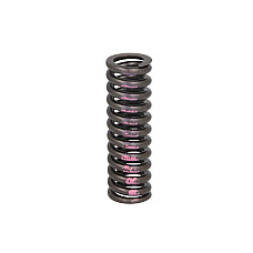 Arc supapa Valve spring CATERPILLAR 3000 SERIES IPD PARTS 1376718-IPD