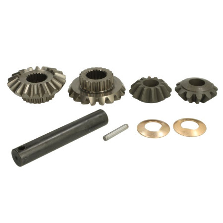 Set reparatie, diferential Differential assembly repair kit CARRARO CARRARO 66146-CR