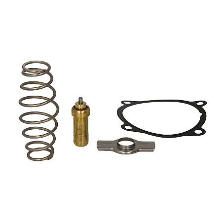 Termostat,lichid racire Cooling system thermostat 79C with gasket set IVECO EUROSTAR EUROTECH MP EUROTRAKKER STRALIS I STRALIS II TRAKKER I TRAKKER II NEW HOLLAND CR F3AE0681B-F3HFE611D 01.93- BEHR BTX 51 79D