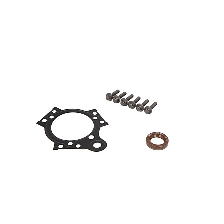 Set reparatie, pompa combustibil Cover gasket set injection system Lion V6 VDO A2C59512213