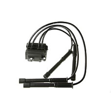 Bobina inductie RENAULT CLIO II, KANGOO, KANGOO EXPRESS, THALIA I, TWINGO I 1.0/1.2 01.01- - NGK U6036
