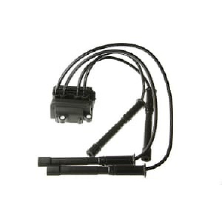 Bobina inductie RENAULT CLIO II, KANGOO, KANGOO EXPRESS, THALIA I, TWINGO I 1.0/1.2 01.01- - NGK U6036