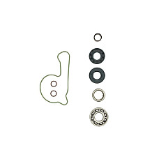 Set reparatie, pompa apa Water pump repair kit HUSQVARNA FC KTM SX-F XC-F 250/350 2016-2017 HOT RODS WPK0066