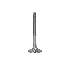 Supapa evacuare Exhaust valve 315x7x89 AUDI A2 A3 A4 B6 A4 B7 SEAT ALHAMBRA ALTEA ALTEA XL CORDOBA IBIZA III IBIZA IV IBIZA IV SC LEON TOLEDO III SKODA FABIA I FABIA I PRAKTIK 1.4D-2.5D 01.99- NE 148050001901
