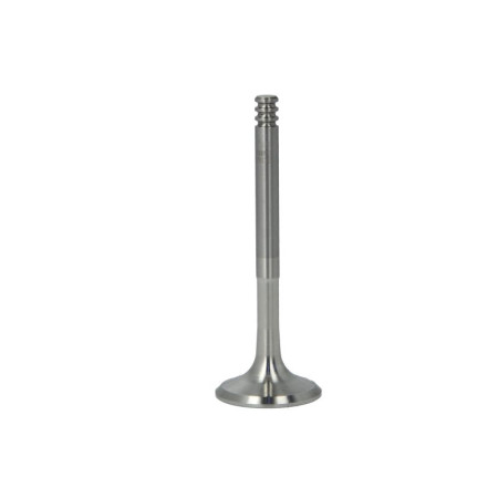 Supapa evacuare Exhaust valve 315x7x89 AUDI A2 A3 A4 B6 A4 B7 SEAT ALHAMBRA ALTEA ALTEA XL CORDOBA IBIZA III IBIZA IV IBIZA IV SC LEON TOLEDO III SKODA FABIA I FABIA I PRAKTIK 1.4D-2.5D 01.99- NE 148050001901