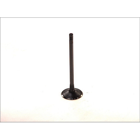 Supapa admisie 32x6x1021 CHEVROLET EPICA EVANDA REZZO DAEWOO EVANDA LEGANZA NUBIRA TACUMA / REZZO FORD MONDEO III OPEL ANTARA A ASTRA F ASTRA G ASTRA H 1.8-3.0 08.92- PARADOWSCY POPE005
