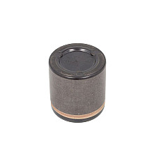Piston, etrier frana Pistoan etrier Fata 54mm 565mm  FORD USA F-150 4.2/4.6/5.4 10.03- BBP 7956BBP